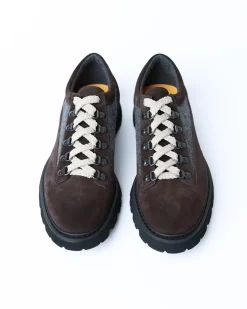 Дербі Doucal’s